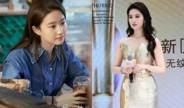 明星故事最新爆料大全集,明星故事最新爆料大全集深度揭秘