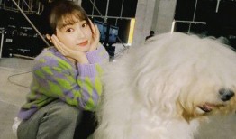 爆料娱乐圈虞书欣,揭秘明星背后的故事